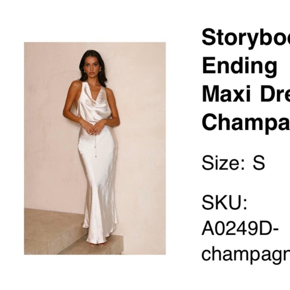 Storybook Ending Maxi Dress Champagne - Picture 7 of 7